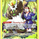 Passimian TG08/TG30 Holo Silver Tempest Trainer Gallery Pokemon NM