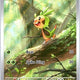 Chespin 087/086 Holo Illustration Rare Chaos Rising Pokemon Near Mint