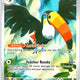 Toucannon 094/084 Illustration Rare Pitch Black Pokemon Holo Near Mint