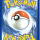 Froakie 088/086 Holo Illustration Rare Chaos Rising Pokemon Near Mint