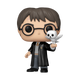 Harry Potter & Hedwig Funko Pop! & Buddy render