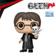 Harry Potter & Hedwig Funko Pop! & Buddy product photo
